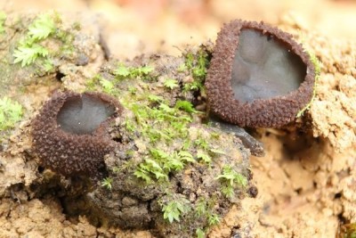 2025-10-08 18-38-51 (A,R8,S3)2.jpg