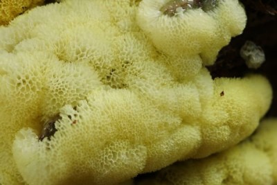 2025-10-09 14-49-28 (A,R25,S3)b.jpg