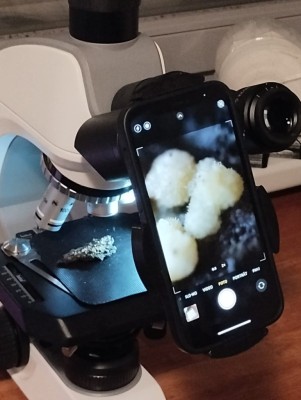 WhatsApp Image 2025-12-23 at 18.35.27.jpeg