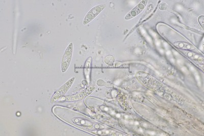 20251228-172330-19M.jpg