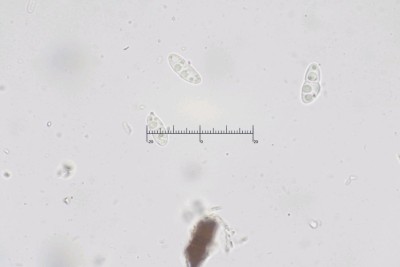 20251229-141802-15M.jpg