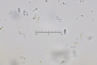 20251229-104442-08M.jpg