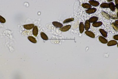 20251229-110002-04M.jpg