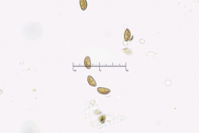 20251230-175444-04M.jpg