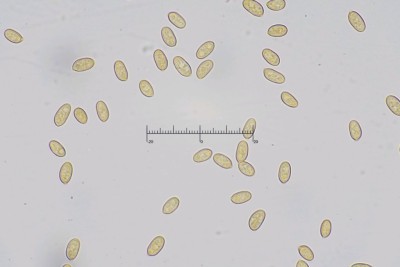 20251229-095453-03M.jpg