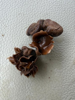 WhatsApp Image 2026-03-29 at 11.05.04.jpeg