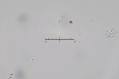 20260425-195023-01M.jpg