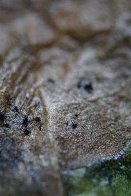 20260426-101611-120.jpg