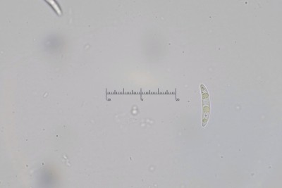 20260426-103542-11M.jpg