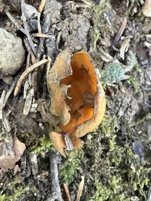 Foto 1.JPG