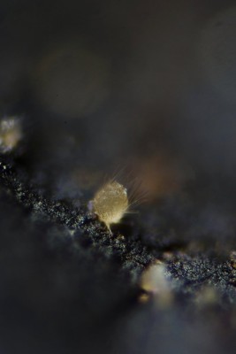 20260530-130612-00.jpg