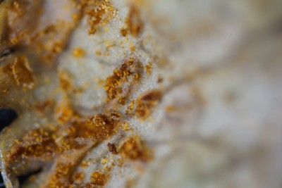 20260628-105014-09.jpg