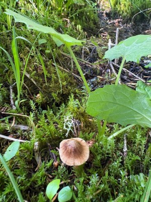 IMG_5811.jpeg