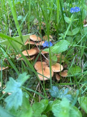 IMG_5824.jpeg