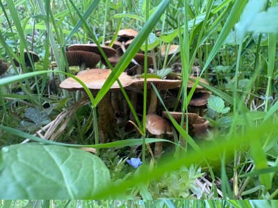 IMG_5825.jpeg