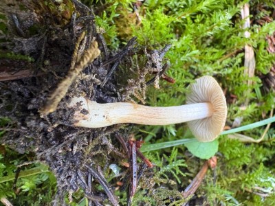 IMG_5813.jpeg