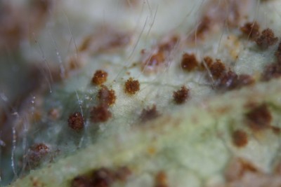 20260725-170230-01.jpg
