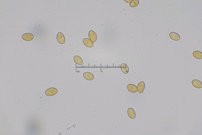 20260726-135903-04M.jpg
