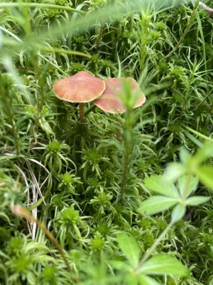IMG_8759.JPG