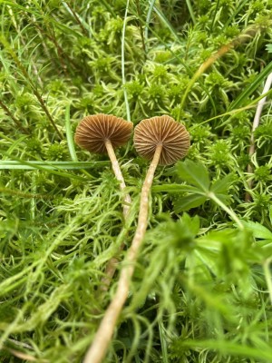 IMG_8761.JPG