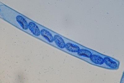 20260727-172705-02.jpg
