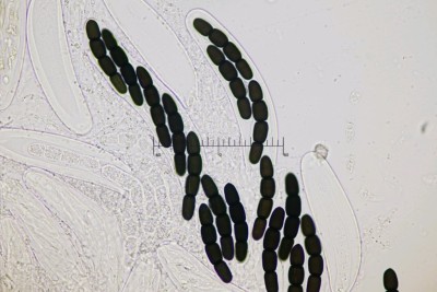 20260729-144756-07M.jpg
