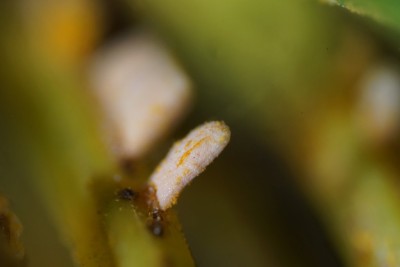 20260803-170436-07.jpg