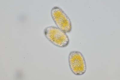 20260803-180820-02.jpg
