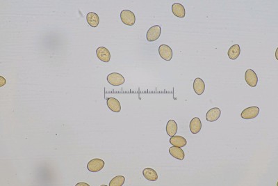 20260815-153311-05M.jpg
