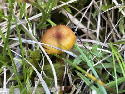 IMG_8893.JPG