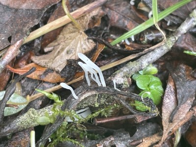 IMG_8942.JPG