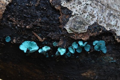 DSC_2014.JPG