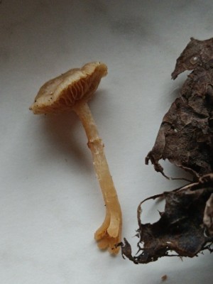 seitlich 2025-06-07 13.07.28.jpg