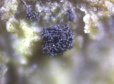 2025-07-17 16-54-22 (C,S8).jpg