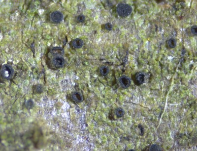 2025-07-18 14-08-25 (A,R5,S8).jpg