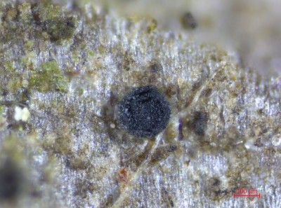 2025-07-18 13-55-10 (B,R5,S8).jpg