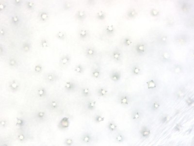 2025-07-19 14-53-35 (A,R5,S8).jpg