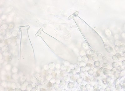 2025-07-19 16-56-34 (A,R5,S8).jpg